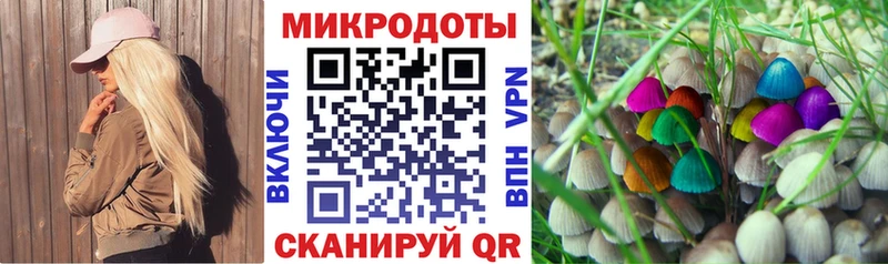 Галлюциногенные грибы MAGIC MUSHROOMS  Купить закладки  Городец 